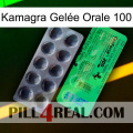 Kamagra Gelée Orale 100 new04